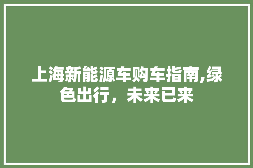 上海新能源车购车指南,绿色出行，未来已来