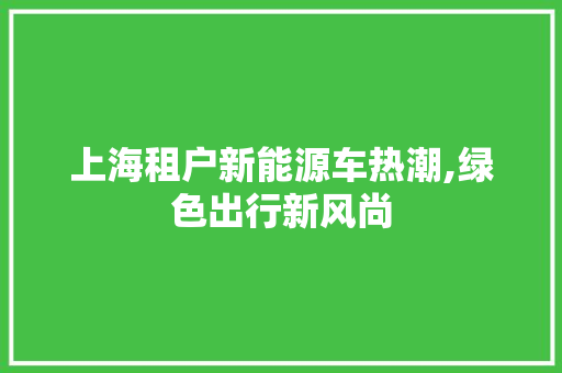 上海租户新能源车热潮,绿色出行新风尚