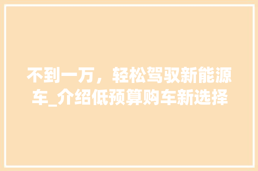 不到一万，轻松驾驭新能源车_介绍低预算购车新选择