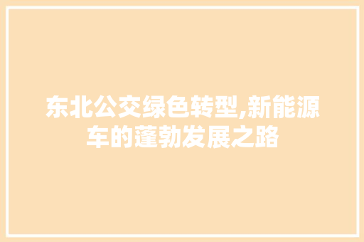 东北公交绿色转型,新能源车的蓬勃发展之路