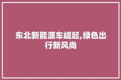 东北新能源车崛起,绿色出行新风尚