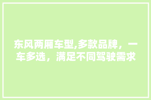 东风两厢车型,多款品牌，一车多选，满足不同驾驶需求