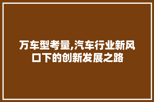 万车型考量,汽车行业新风口下的创新发展之路