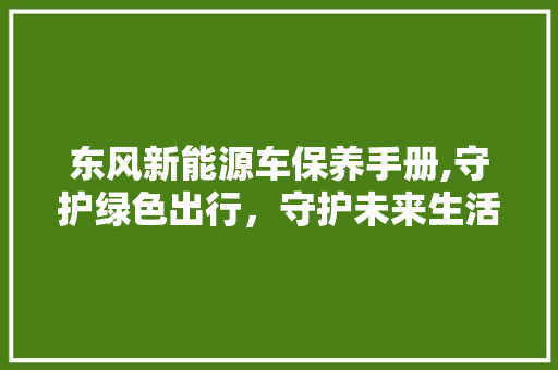 东风新能源车保养手册,守护绿色出行，守护未来生活