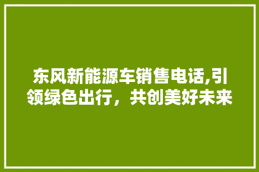 东风新能源车销售电话,引领绿色出行，共创美好未来