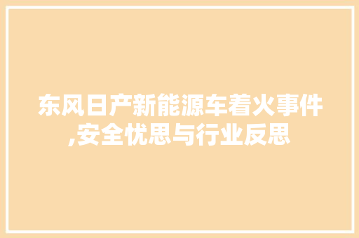 东风日产新能源车着火事件,安全忧思与行业反思
