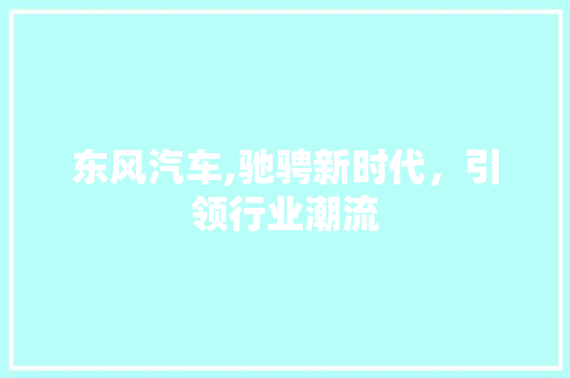 东风汽车,驰骋新时代，引领行业潮流
