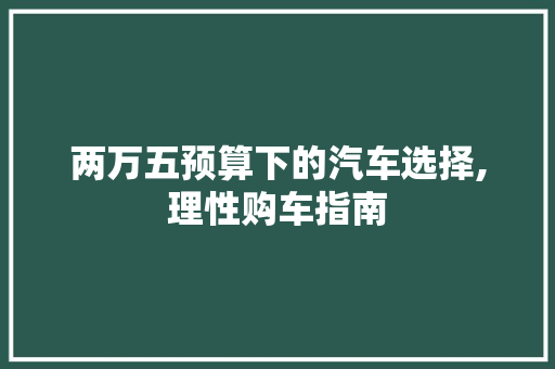 两万五预算下的汽车选择,理性购车指南