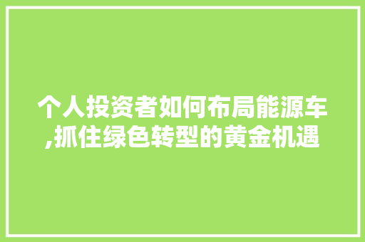 个人投资者如何布局能源车,抓住绿色转型的黄金机遇
