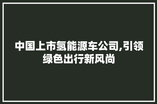 中国上市氢能源车公司,引领绿色出行新风尚