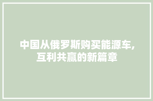 中国从俄罗斯购买能源车,互利共赢的新篇章