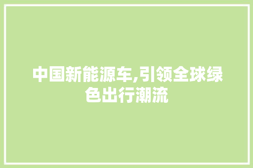 中国新能源车,引领全球绿色出行潮流