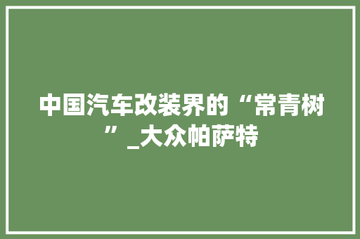 中国汽车改装界的“常青树”_大众帕萨特