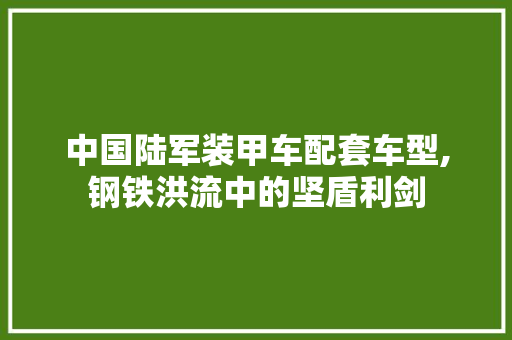 中国陆军装甲车配套车型,钢铁洪流中的坚盾利剑