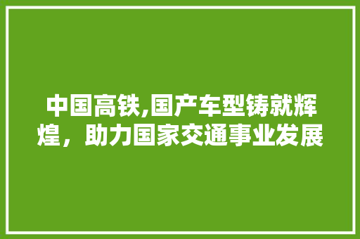 中国高铁,国产车型铸就辉煌，助力国家交通事业发展