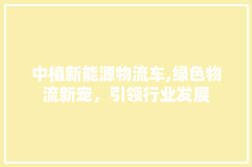 中植新能源物流车,绿色物流新宠，引领行业发展