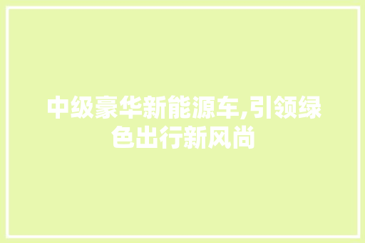 中级豪华新能源车,引领绿色出行新风尚