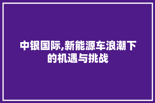 中银国际,新能源车浪潮下的机遇与挑战