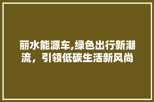 丽水能源车,绿色出行新潮流，引领低碳生活新风尚