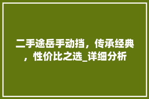 二手途岳手动挡，传承经典，性价比之选_详细分析