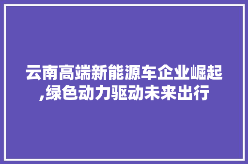 云南高端新能源车企业崛起,绿色动力驱动未来出行