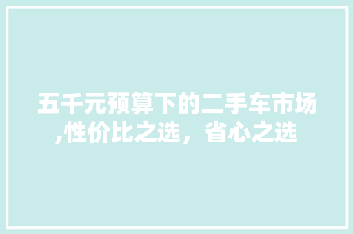 五千元预算下的二手车市场,性价比之选，省心之选