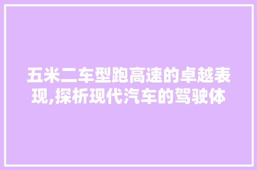 五米二车型跑高速的卓越表现,探析现代汽车的驾驶体验