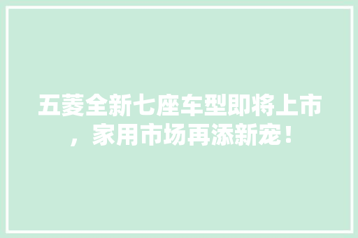 五菱全新七座车型即将上市，家用市场再添新宠！