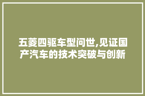 五菱四驱车型问世,见证国产汽车的技术突破与创新