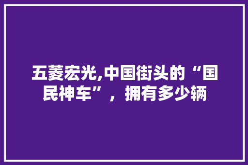 五菱宏光,中国街头的“国民神车”，拥有多少辆