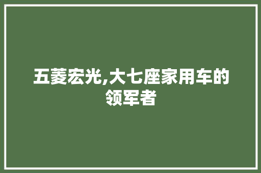 五菱宏光,大七座家用车的领军者