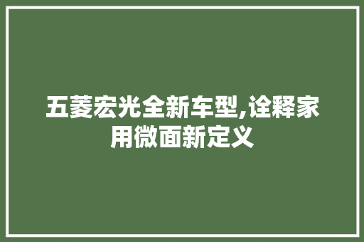 五菱宏光全新车型,诠释家用微面新定义