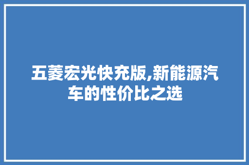 五菱宏光快充版,新能源汽车的性价比之选