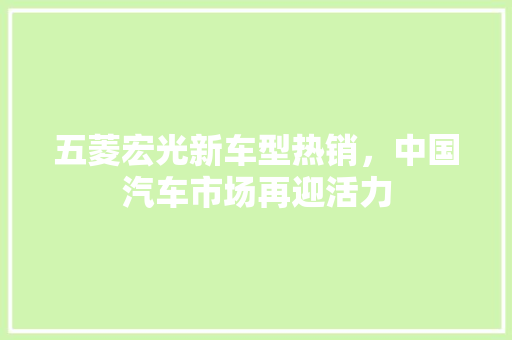 五菱宏光新车型热销，中国汽车市场再迎活力