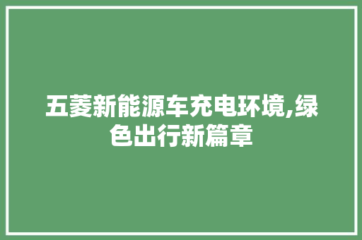 五菱新能源车充电环境,绿色出行新篇章