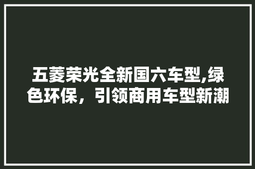 五菱荣光全新国六车型,绿色环保，引领商用车型新潮流