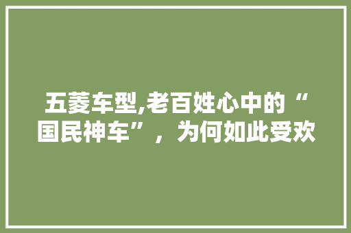 五菱车型,老百姓心中的“国民神车”，为何如此受欢迎