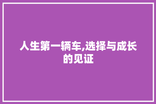 人生第一辆车,选择与成长的见证