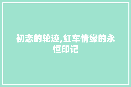 初恋的轮迹,红车情缘的永恒印记