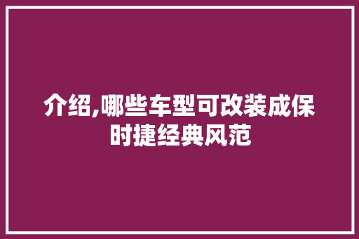介绍,哪些车型可改装成保时捷经典风范 蓄电池配件