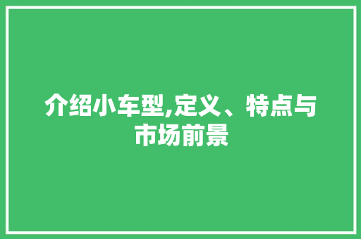 介绍小车型,定义、特点与市场前景