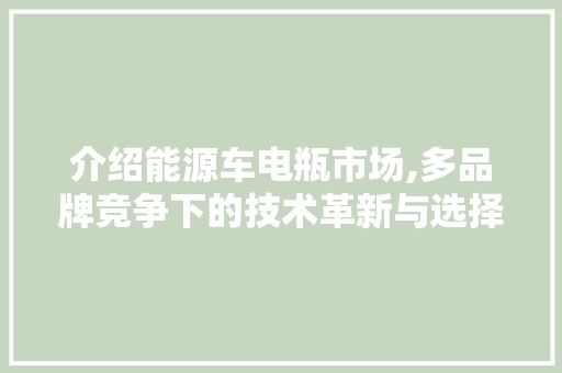 介绍能源车电瓶市场,多品牌竞争下的技术革新与选择之路
