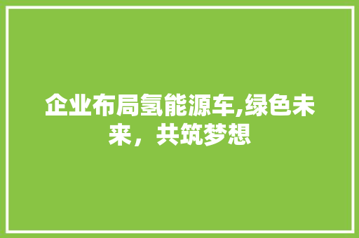 企业布局氢能源车,绿色未来，共筑梦想