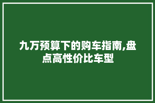 九万预算下的购车指南,盘点高性价比车型