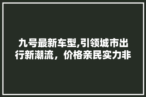 九号最新车型,引领城市出行新潮流，价格亲民实力非凡