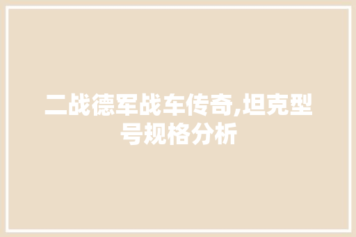 二战德军战车传奇,坦克型号规格分析