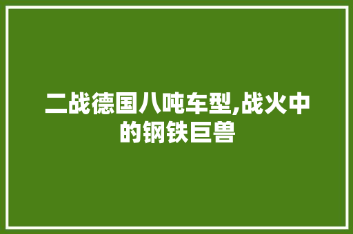 二战德国八吨车型,战火中的钢铁巨兽