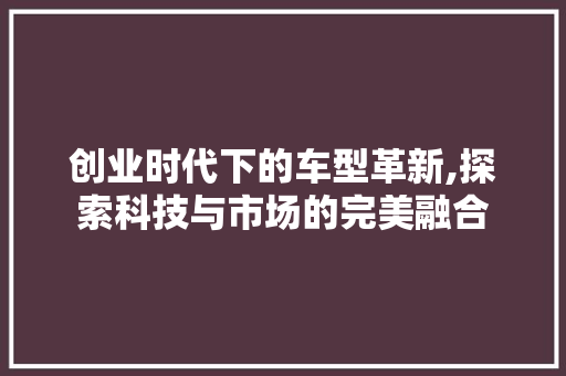 创业时代下的车型革新,探索科技与市场的完美融合