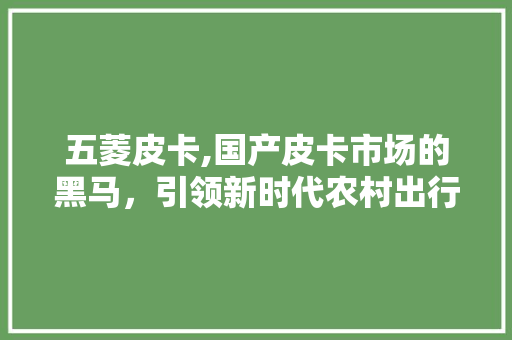 五菱皮卡,国产皮卡市场的黑马，引领新时代农村出行新潮流 新能源汽车