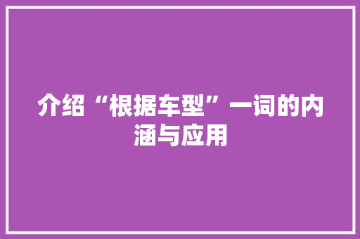 介绍“根据车型”一词的内涵与应用